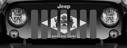 Delaware Tactical State Flag Grille Insert