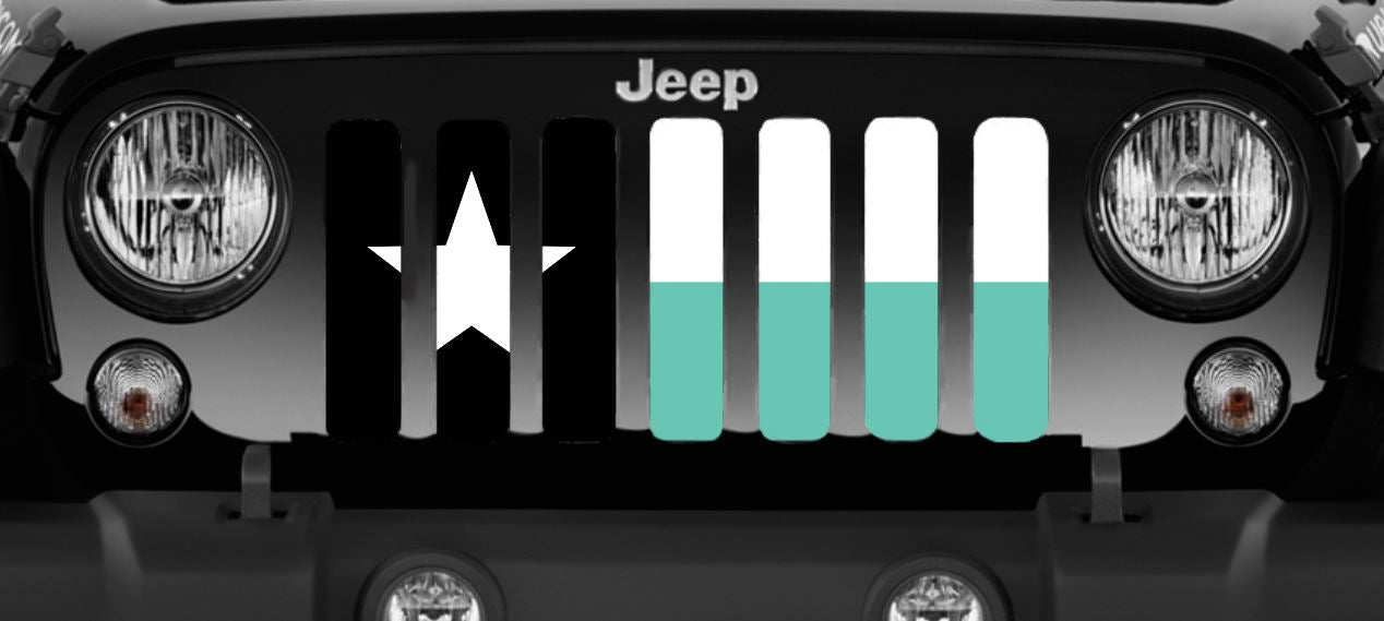 Texas Teal State Flag Grille Insert