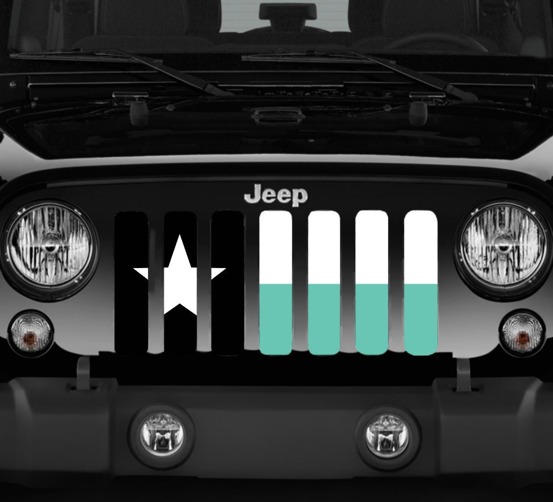 Texas Teal State Flag Grille Insert