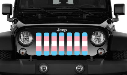 Transgender Flag Grille Insert