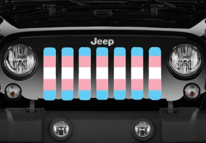 Transgender Flag Grille Insert