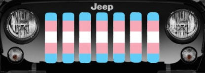 Transgender Flag Grille Insert