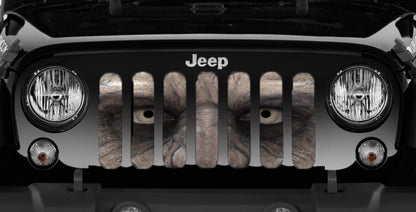 Walking Dead Jeep Grille Insert