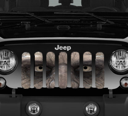 Walking Dead Jeep Grille Insert