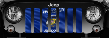 Waving Wisconsin State Flag Grille Insert