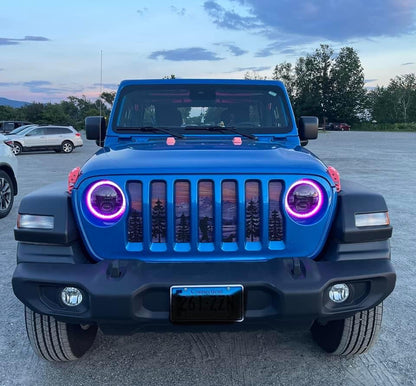 Hiker Purple Mountain Grille Insert