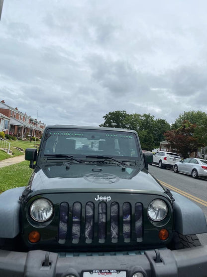 Always Watching (BLUE Eyes) Grille Insert