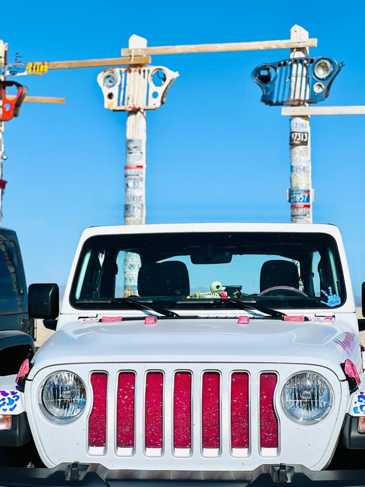 Bright Pink Fleck Print Grille Insert