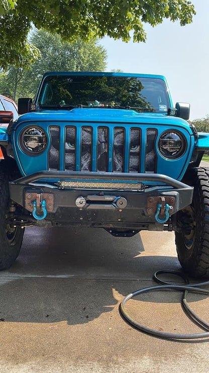Always Watching (TEAL BLUE Eyes) Grille Insert