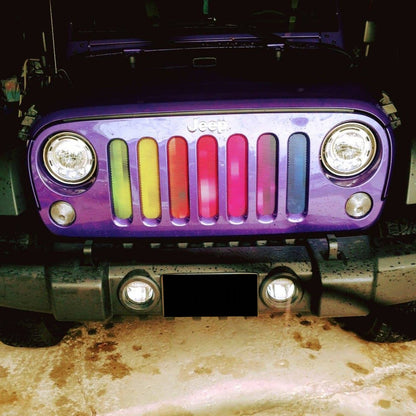 Pixelation Grille Insert